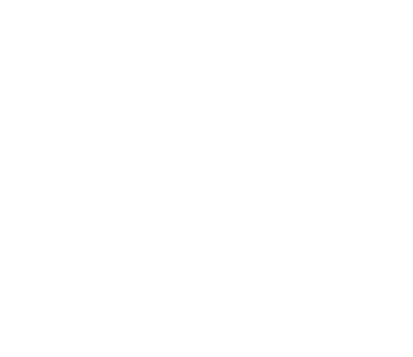 JF ELITE TRANSPORTATION LLC